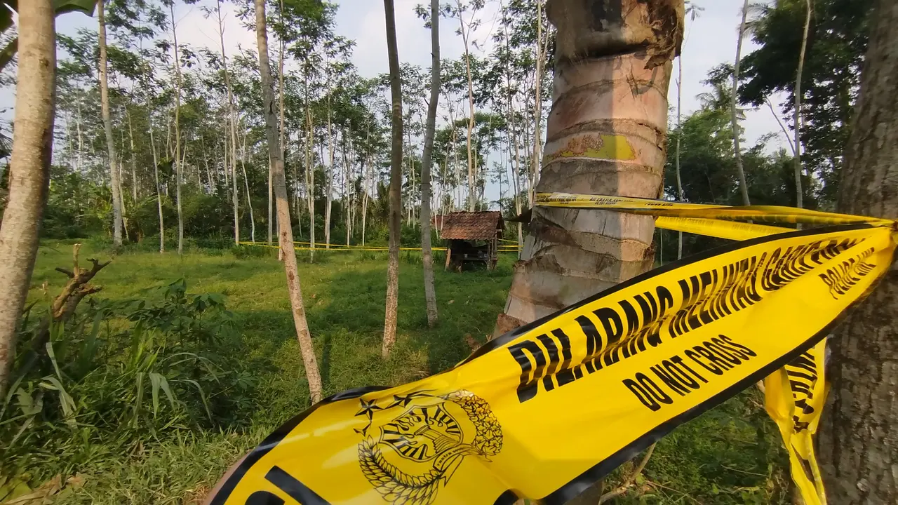 Lokasi Pembunuhan disertai pemerkosaan yang menimpa CNA 7 tahun di Desa Kalibarumanis, Banyuwangi (Istimewa)