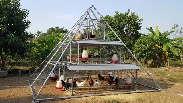 Kandang ayam piramida