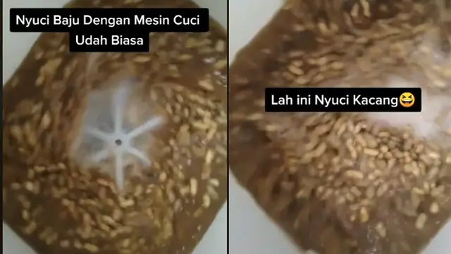 Viral Bersihkan Kacang Tanah Pakai Mesin Cuci, Bikin Geleng Kepala