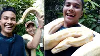 Menegangkan, Selfie dengan Ular Piton Albino di Selfie Yuk