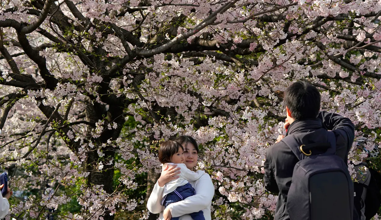 Wisawatan berfoto dengan latar belakang bunga sakura yang mekar penuh pada musim semi di Chidorigafuchi, Tokyo, Senin (26/3). Pada musim semi, wisatawan dapat menikmati keindahan bunga yang terkenal asal Jepang itu. (AP Photo/Shizuo Kambayashi)