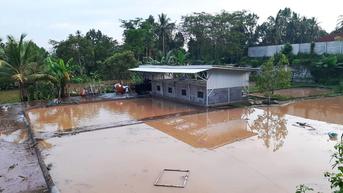 Kisah Sedih Peternak Koi di Lombok, Banjir Bandang Hanyutkan Miliaran Rupiah
