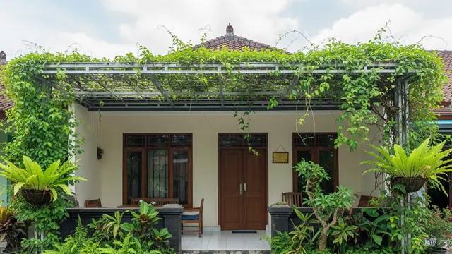 Kanopi dengan Tanaman Rambat