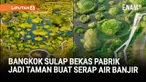 Hutan Taman Benjakitti punya kolam-kolam dan permukaan tanah berpori yang membuatnya menjadi terlihat unik dan bisa menyerap air saat banjir.