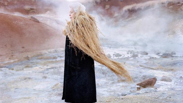 Lansia Dirias Ranting dan Dahan Kering