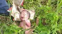 'Boneka' bayi mencurigakan yang bergerak di semak-semak ditemukan penjual nasi kuning di Kompleks Universitas Negeri Manado. (Liputan6.com/Yoseph Ikanubun)