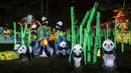 Lentera panda raksasa dipamerkan dalam Festival Lentera Gaillac di Taman Foucaud, Gaillac, Prancis, Rabu (12/12). Festival Lentera Gaillac berlangsung pada 1 Desember 2018 hingga 6 Februari 2019. (ERIC CABANIS/AFP)
