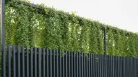 7 Inspirasi Pagar Besi Minimalis 2025, Paduan Estetik Vertical Garden untuk Hunian Modern