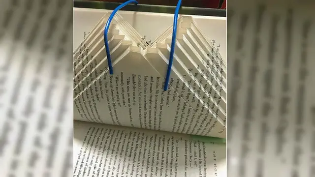 Jika dilihat dari bagian sampul, buku terlihat seperti buku pada umumnya. Namun, ketika dibuka, buku tersebut akan memunculkan pop up memukau mata.