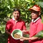 Rindoni bersama seorang anggota kelompok tani menunjukkan kopi luwak yang baru ditemukannya berserakan di sekitar kebun.