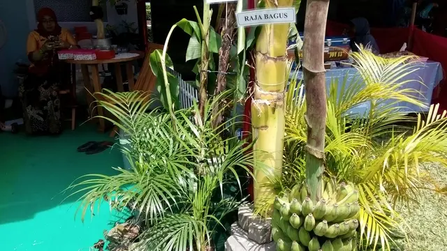 Pisang Raja Bagus perpaduan raja dan lokal Jogja