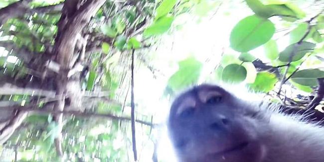 Foto: Copyright Dailymail.co.uk