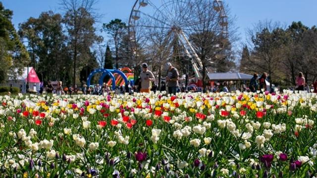 Quotes About Spring and New Beginnings