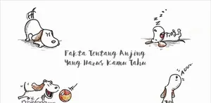 Fakta Tentang Anjing yang Harus Diketahui.