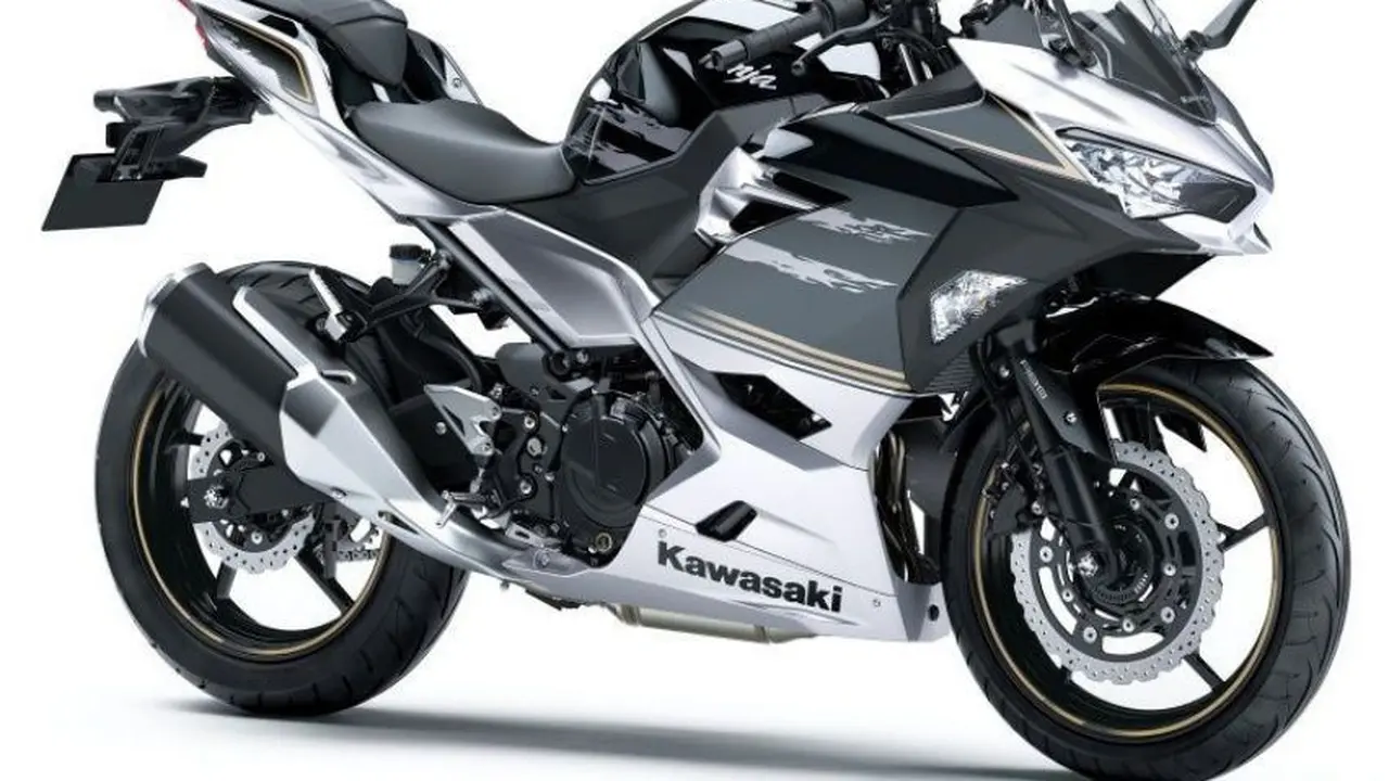 Kawasaki Ninja 250 punya dua warna berbasis silver dan hitam