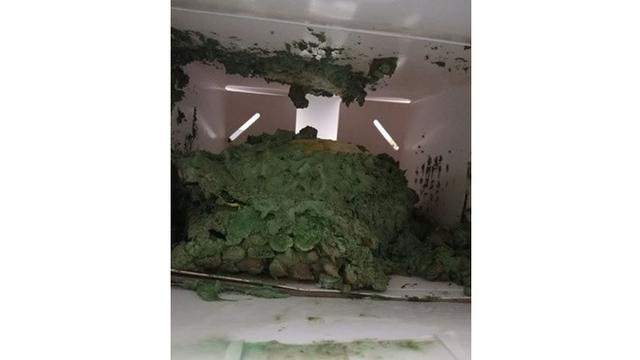 Pesanan Online Kue Durian Wanita Ini Tak Sesuai Ekspetasi, Sungguh Mengecewakan