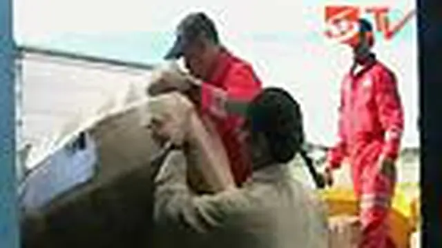 Bantuan untuk Wasior Terus Berdatangan