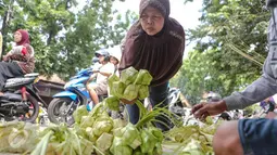 Ketupat Sayur tak bisa dipisahkan dari perayaan Lebaran. Sehari sebelumnya, hampir seluruh masyarakat Indonesia membuat ketupat sayur. Ditambah opor ayam atau semur daging. (Liputan6.com/Faizal Fanani) 
