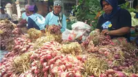 Kualitas lahan budidaya bawang merah di sentra penghasil bawang merah di Kabupaten Brebes, Jawa Tengah, semakin menurun (Liputan6.com/Fajar Eko Nugroho)