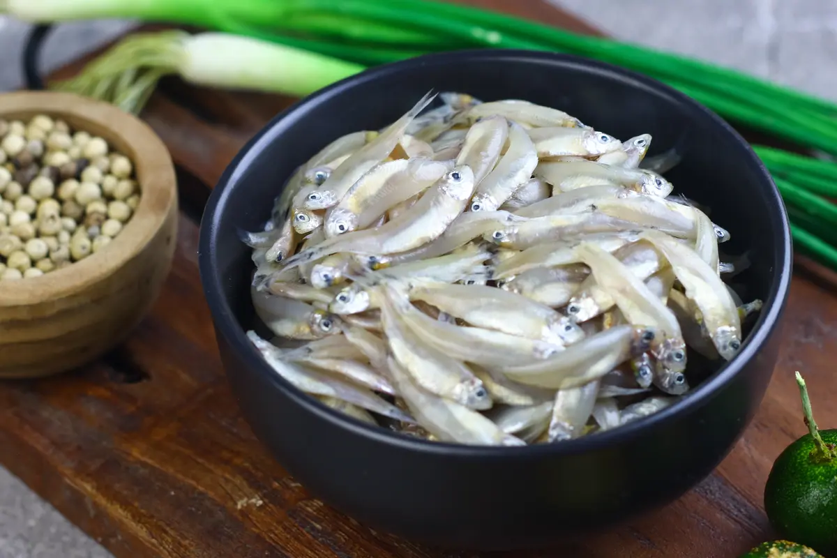 ikan teri basah