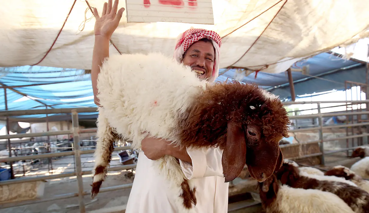 Pedagang membawa seekor domba sembari menunggu pembeli hewan kurban di sebuah pasar ternak di Kuwait pada 5 Agustus 2019. Umat Islam di seluruh dunia akan merayakan Idul Adha yang identik dengan tradisi berkurban dengan hewan seperti kambing, domba, unta, sapi dan kerbau. (Yasser Al-Zayyat/AFP)