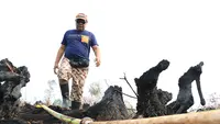 Gubernur Kalimantan Selatan, Sahbirin Noor atau Paman Birin datangi lokasi Karhutla beberapa waktu lalu. (Liputan6.com/Aslam Mahfuz)