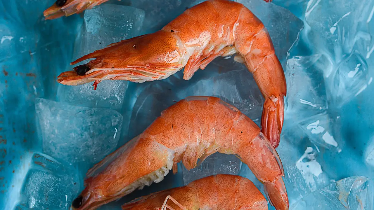 udang