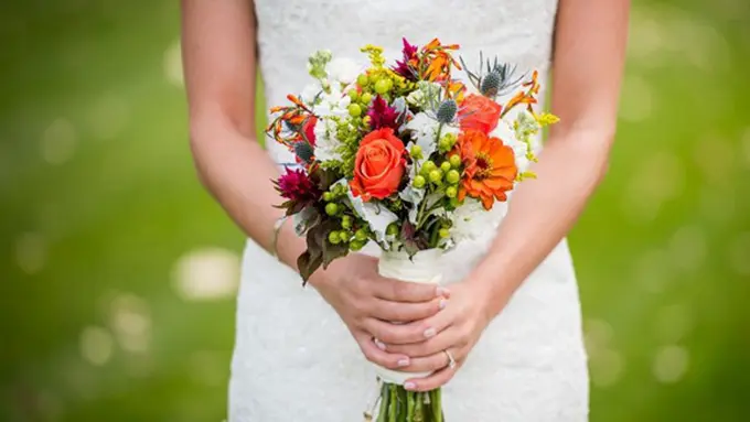 copyright by Stocksnap.io