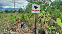 Penanganan keong yang menjadi sebab penyakit Demam Keong di Sulawesi Tengah. (Foto: Catur Rahmawati/ PEH BBTNLL)