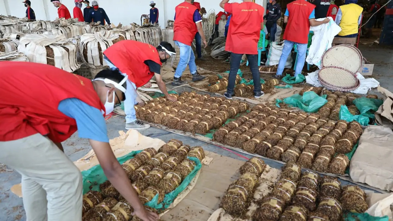 Sejumlah pekerja mengerjakan kegiatan pengemasan dan perawatan tembakau di gudang tembakau di Temanggung, Jawa Tengah, Selasa (25/8/2020). (Foto : Liputa6.com/Felek Wahyu)