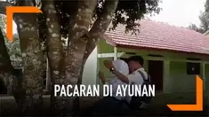 Ketika asik berpacaran sambil bermain ayunan, pasangan muda ini malah mengalami kejadian memalukan. Tali ayunan terputus sehingga membuat keduanya terjatuh.