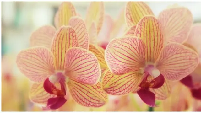 Copyright by shutterstock.com