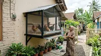 Cara Membuat Kandang Ayam Menempel Tembok yang Hemat Tempat, Ini 7 Desainnya