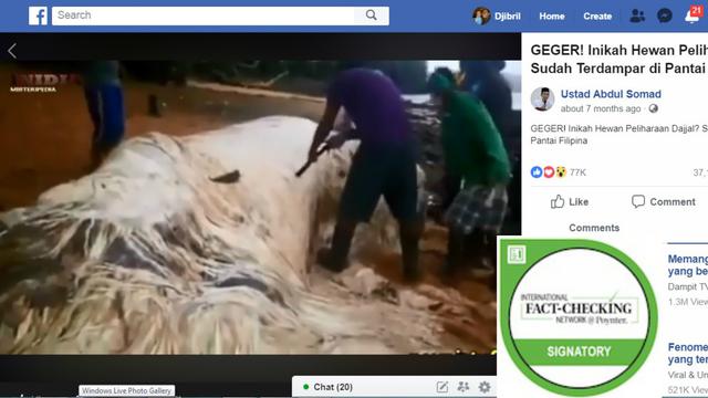 Hoaks, Video Penampakan Hewan Peliharaan Dajjal