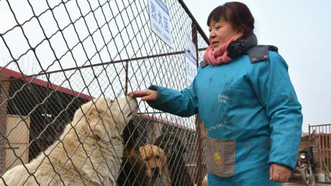 Photo: Copyright shanghaiist.com