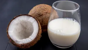 Ilustrasi santan kelapa segar/copyright freepik.com/stockking