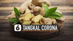 Berita tentang virus Corona saat ini menjadi viral di dunia. Indonesia mengalami rasa cemas dan takut akibat virus ini. Ini dia rempah-rempah asli Indonesia yang bisa menangkal virus Corona