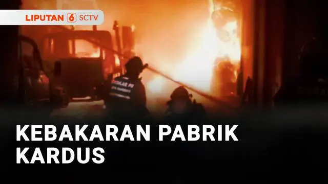 Kebakaran Pabrik Kardus