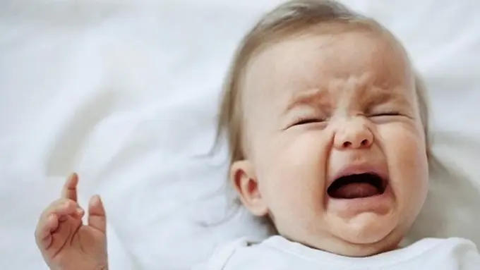 Foto: copyright thinkstockphotos.com