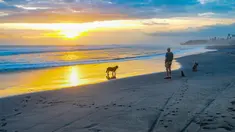 Pengunjung beraktifitas menikmati waktu senja Pantai pasut di Tabanan, Bali. Pantai Pasut di Desa Tibubiyu, Kecamatan Kerambitan, Kabupaten Tabanan, menjadi salah satu destinasi alam yang layak dikunjungi saat berada di Bali. (merdeka.com/Arie Basuki)