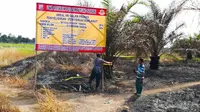 Baru Tujuh Hektare Lahan Terbakar di Pekanbaru Disegel Polisi