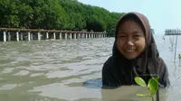 Raja 3,5 Juta Mangrove dari Pesisir Pantura