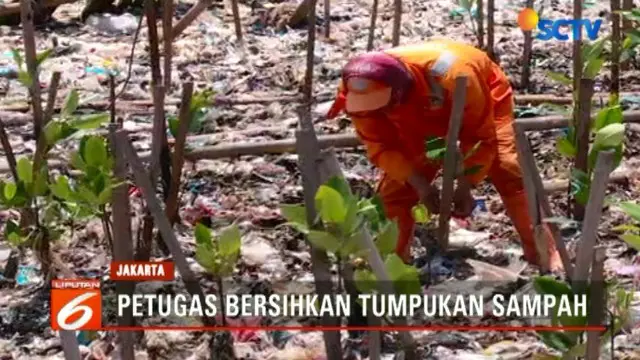 Akibat tumpukan sampah ini, proses penanaman mangrove di lahan seluas 1,5 hektare terhambat. Sampah-sampah ini berasal dari 13 muara sungai serta banjir rob, Februari 2018 lalu.