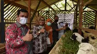 PLN UID Banten melalui CSR PLN, kucurkan Rp 200 juta untuk memberdayaan masyarakat usaha berkelanjutan yang dimulai dengan peternakan domba. (Dok PLN)