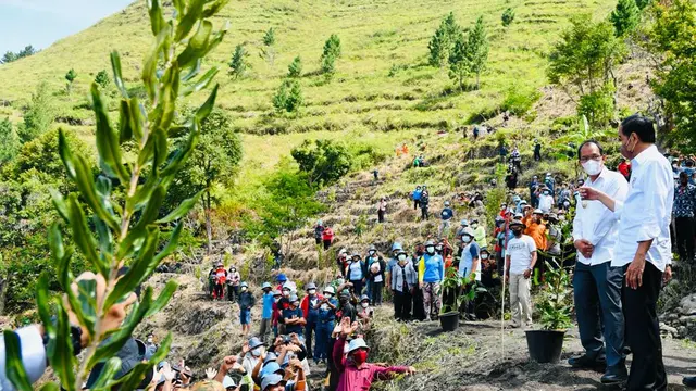 Presiden Joko Widodo atau Jokowi meminta masyarakat yang sudah menerima Surat Keputusan (SK) Hutan Sosial, Hutan Adat, maupun Hutan Tanah Objek Reforma Agraria (TORA) segera memanfaatkan lahan yang ada.