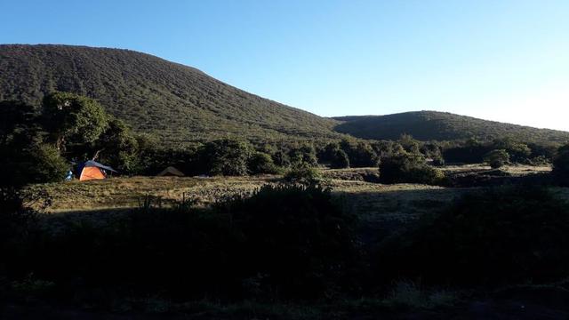 Sang Istri Ungkap Kejanggalan Penyebab Tewasnya Pendaki Di Gunung Dempo Regional Liputan6 Com