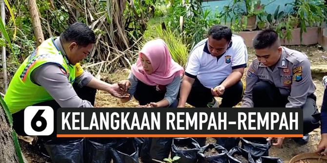 VIDEO: Polisi Bantu Pedagang Jamu Budidaya Rempah-rempah