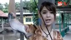 liputan6