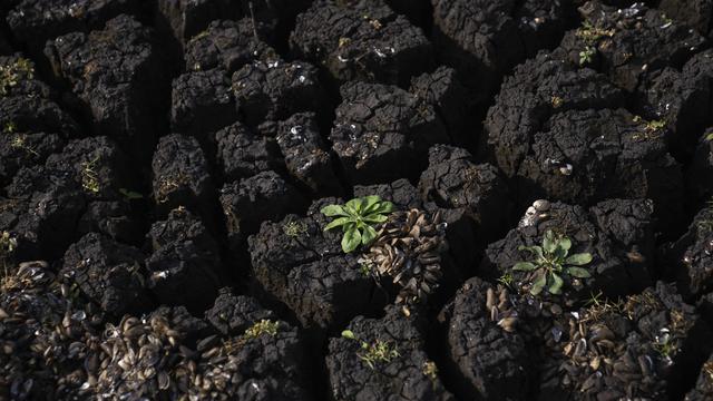 Ibukota Uruguay bergulat dengan krisis air