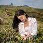 Maudy Ayunda Bikin Brand Skincare Terinspirasi Kekayaan Alam Indonesia, Berdayakan Petani Lokal (Tangkapan Layar Instagram/maudyayunda)